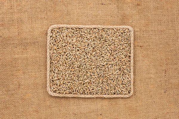 Frame made of rope with rye grains on sackcloth, view from above — Stock Photo, Image