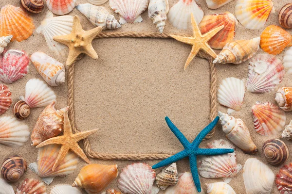 Hermoso marco de cuerda y conchas marinas, estrellas de mar en la arena — Foto de Stock