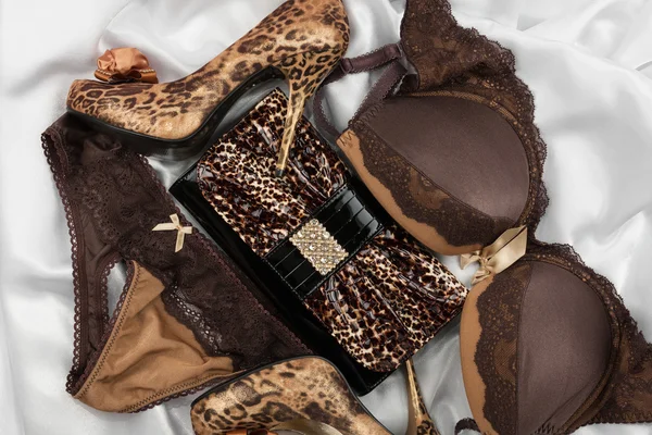 Sexy lingerie e leopardo borsa e scarpe leopardo — Foto Stock