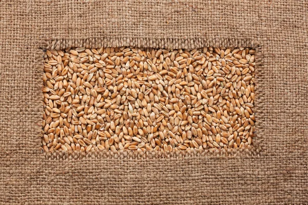 Frame gemaakt van ruwe jute ligt op tarwe granen — Stockfoto