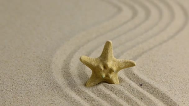 Verwijderen van starfish steken uit het zand op het strand — Stockvideo