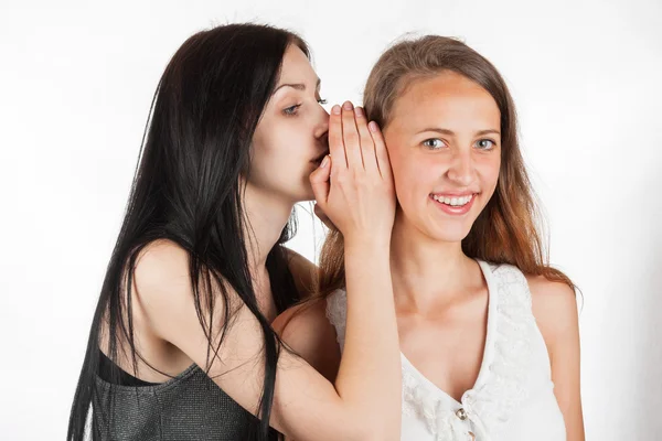 Zwei fröhliche junge Freundinnen flüstern im Gespräch, Gesellschaft Klatsch, Gerüchte, Gerüchte — Stockfoto