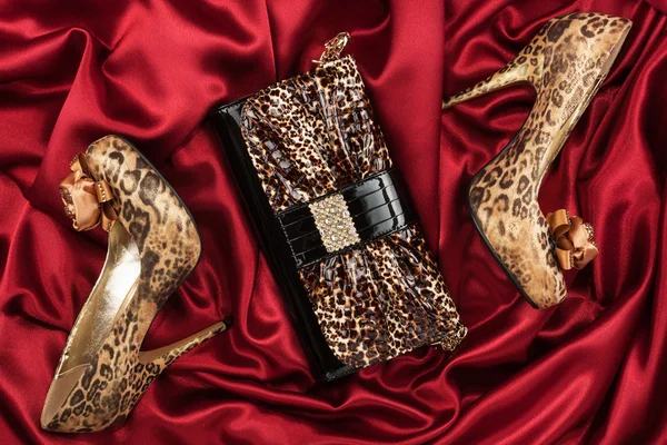 Leopard lacquer bag and leopard shoes on a red — Stock Photo, Image