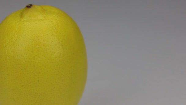 Close-up rotação de limão, sobre um fundo branco — Vídeo de Stock