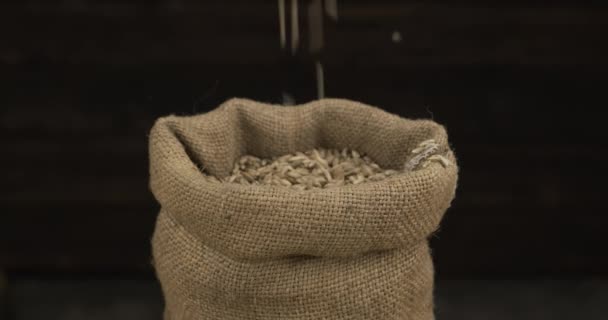 Rye grains fall into an open sack. Close-up. — Stock Video