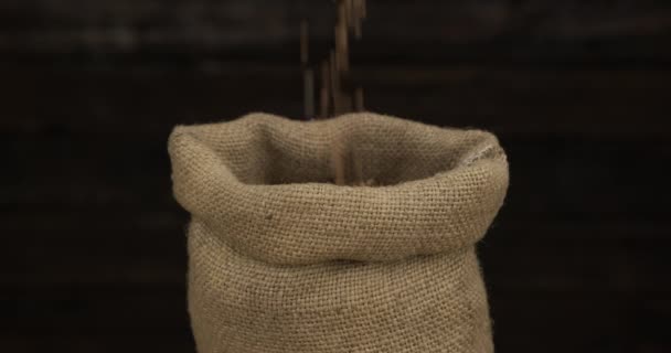 Buckwheat grains fall into an open sack. Close-up. — Stock Video