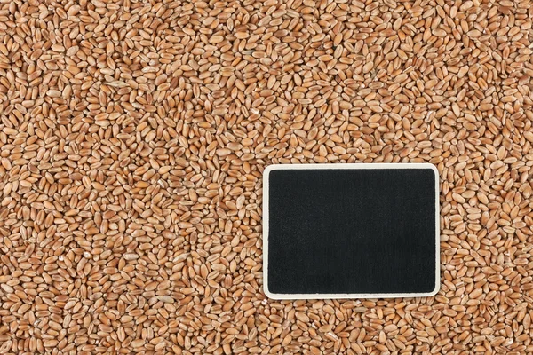 Pointer, the price tag lies on wheat — Stock Photo, Image