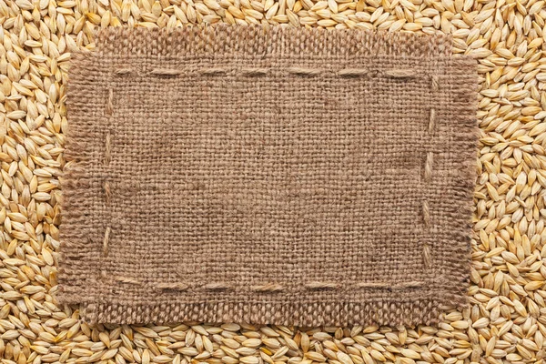 Frame of burlap  lying on a barley  background — Stock Photo, Image