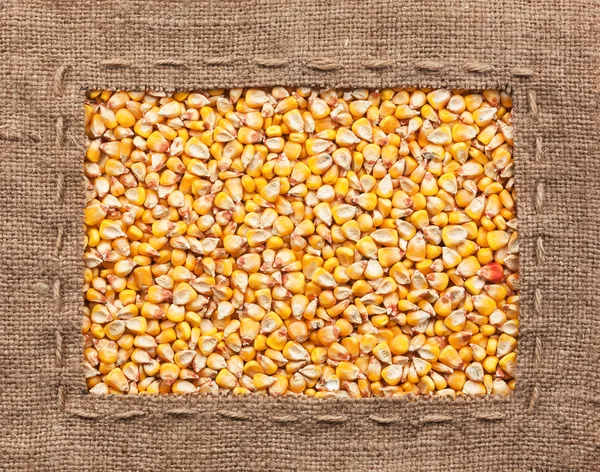 Рамка из мешковины с кукурузой — стоковое фото