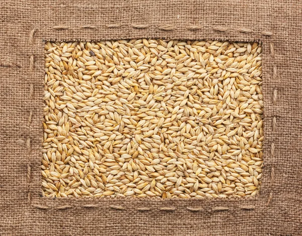 Frame made of burlap with barley — Stock Photo, Image