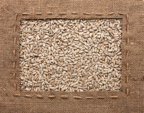 Frame made of burlap with the line lies on sunflower seeds — Stock Photo, Image