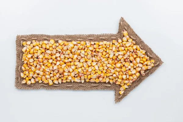 与玉米籽粒的指针 — 图库照片