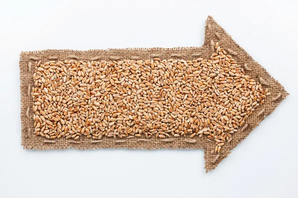 Pointer with wheat  grains — Stock Photo, Image