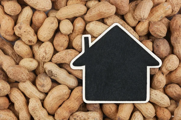 House pointer, the price tag lies on  peanuts — Stock Photo, Image