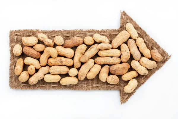 Pointer of  burlap with peanut — Stock Photo, Image