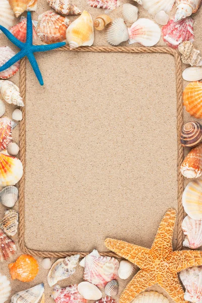 Beautiful frame of rope and seashells on the sand — Stock Photo, Image