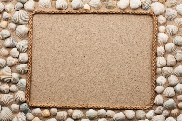 Beautiful frame of rope and seashells on the sand Stock Picture