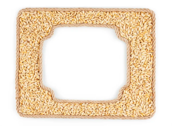 Two frames of the rope with barley grain on a white background — Stock Photo, Image