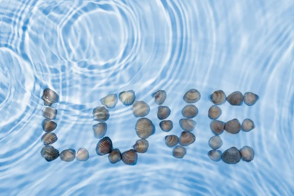 Word love made of seashells in water — Stock Photo, Image