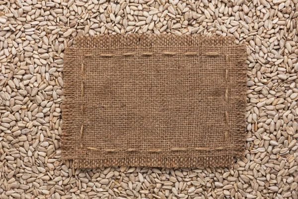 Frame made of burlap with the line lies on  sunflower seeds — Stock Photo, Image