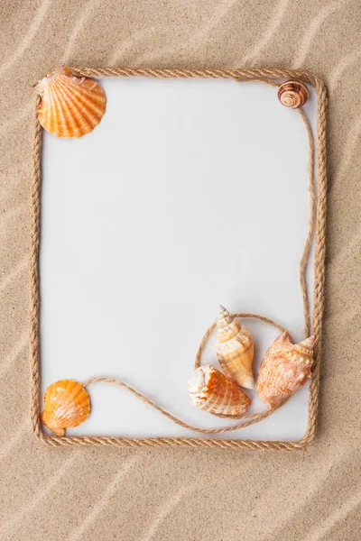 Beautiful frame of rope and sea shells with a white background o — Stock Photo, Image