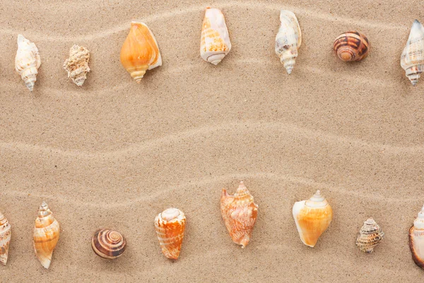 Streifen von Muscheln, die im Sand liegen — Stockfoto