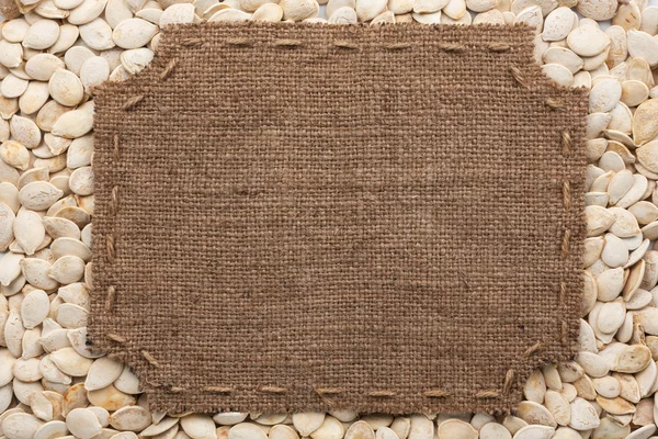 Quadro feito de serapilheira com pontos e lugar para o seu texto deitado — Fotografia de Stock