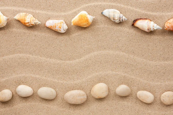 Two rows of stones and shells on the sand — Stock Photo, Image