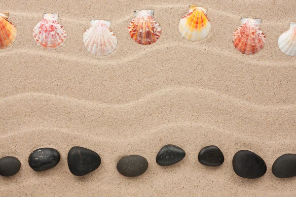 Deux rangées de pierres et de coquillages sur le sable — Photo