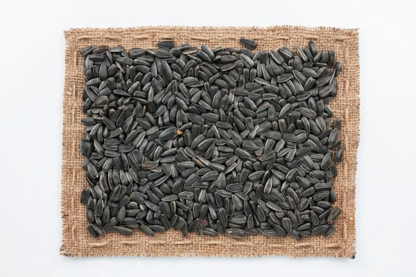 Quadro de sementes de serapilheira e girassol — Fotografia de Stock
