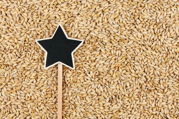 Pointer, the sign lies on  barley — Stock Photo, Image