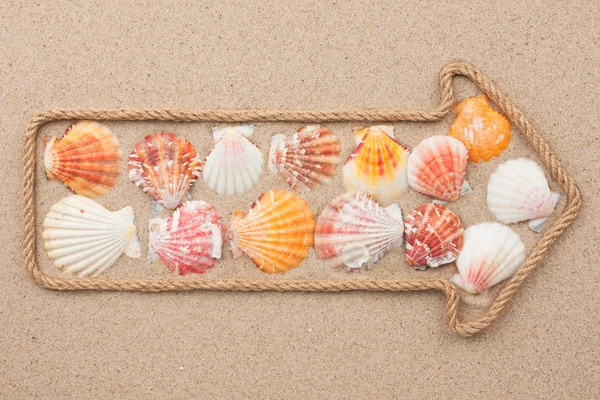 Pointer made of rope with sea shells — Stock Photo, Image