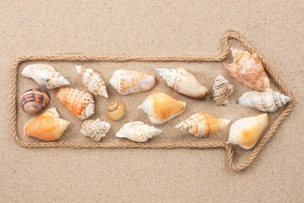 Pointer made of rope with sea shells — Stock Photo, Image