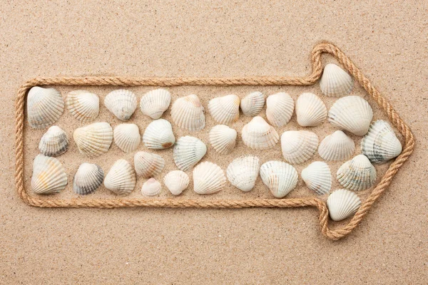 Pointer made of rope with sea shells — Stock Photo, Image