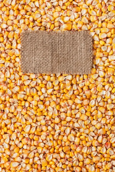 制成的粗麻布谎言的背景下玉米的标签 — 图库照片