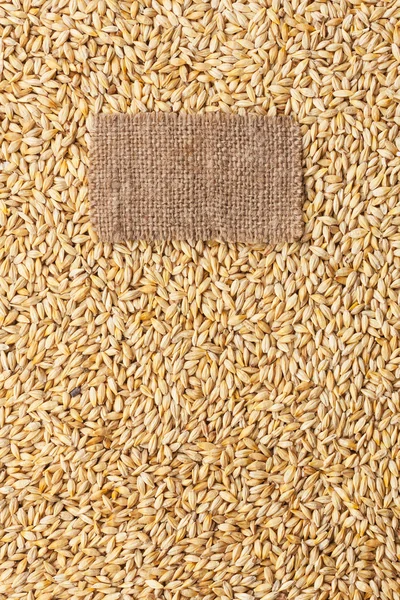 Tag made of burlap lies against the backdrop of barley — Stock Photo, Image