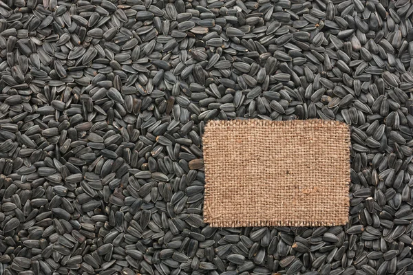 Etiqueta hecha de arpillera se encuentra en el telón de fondo de semillas de girasol —  Fotos de Stock