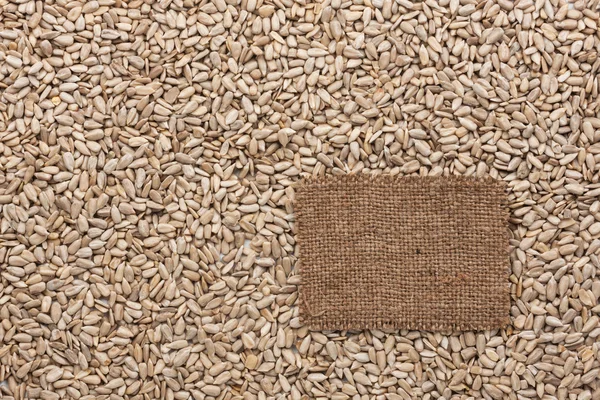 Tag made of burlap lies against the backdrop of sunflower seeds — Stock Photo, Image