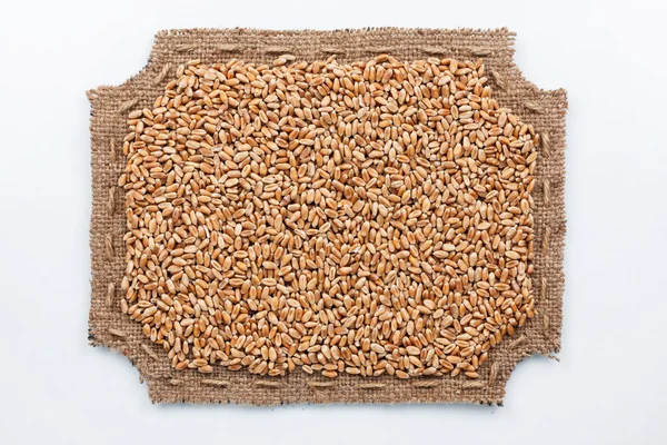 Cadre figuré en toile de jute et grains de blé — Photo