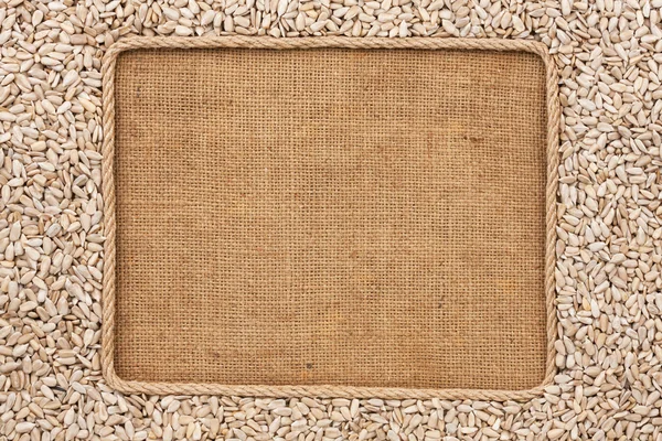 Frame made of rope with sunflower seeds on sackcloth — Stock Photo, Image