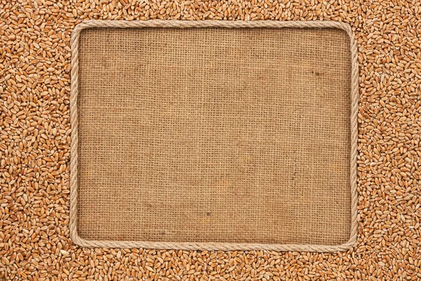 Рамка из веревки с зерном пшеницы на мешковине — стоковое фото