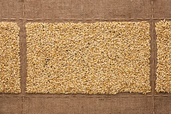 Barley grains on sackcloth, with place for your text — Stock Photo, Image
