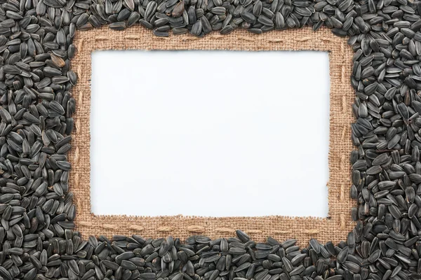 Çuval bezi çizgi ve Ayçiçeği tohumları ile yapılmış kare beyaz yalan — Stok fotoğraf