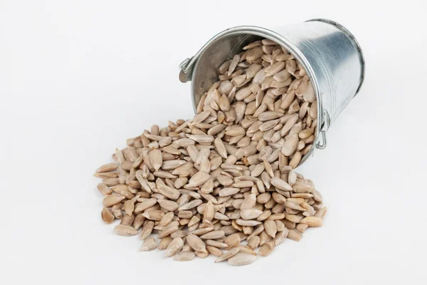 Sunflower seeds spilling out of bucket — Stock Photo, Image