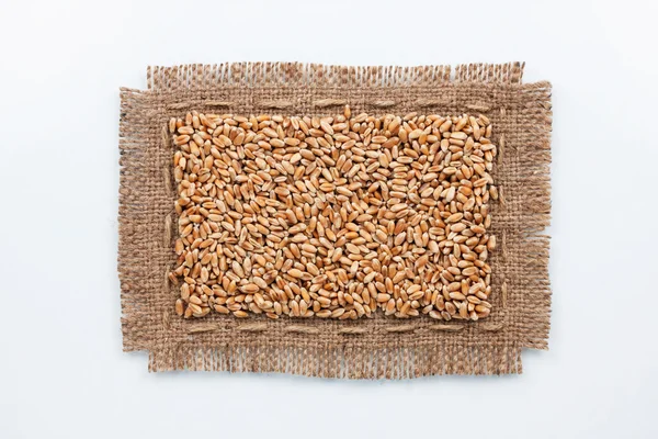 Klasyczna rama wykonana z płótnie z ziarna pszenicy — Zdjęcie stockowe