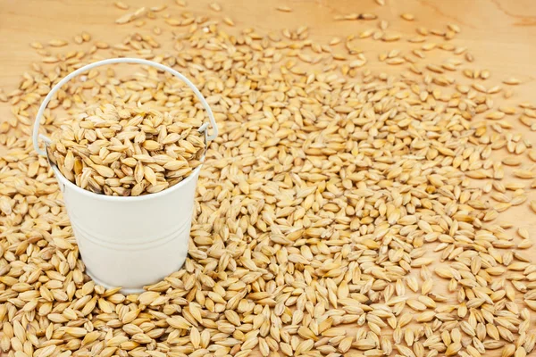 White bucket with barley on the wooden floor — Stock Photo, Image