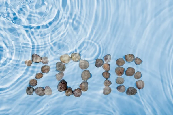 Inscription 2016 made seashells in water — Stock Photo, Image