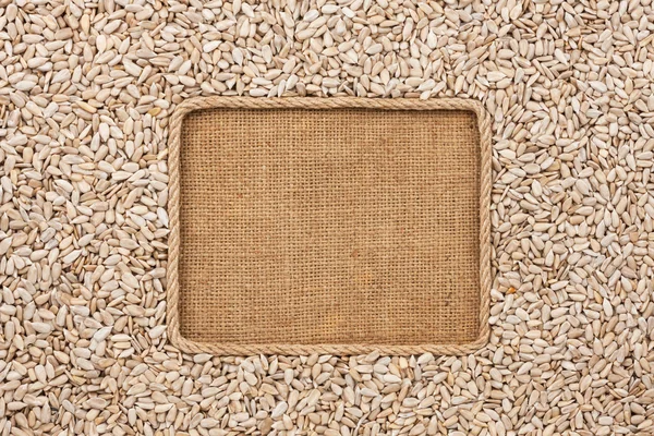 Frame made of rope with sunflower seeds on sackcloth — Stock Photo, Image
