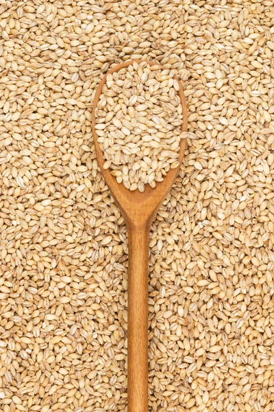 Wooden spoon with pearl barley — Stock Photo, Image