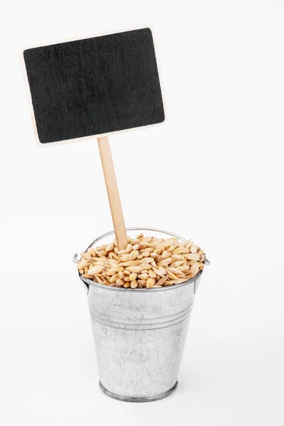 Pointer, price in bucket of  barley grains — Stock Photo, Image